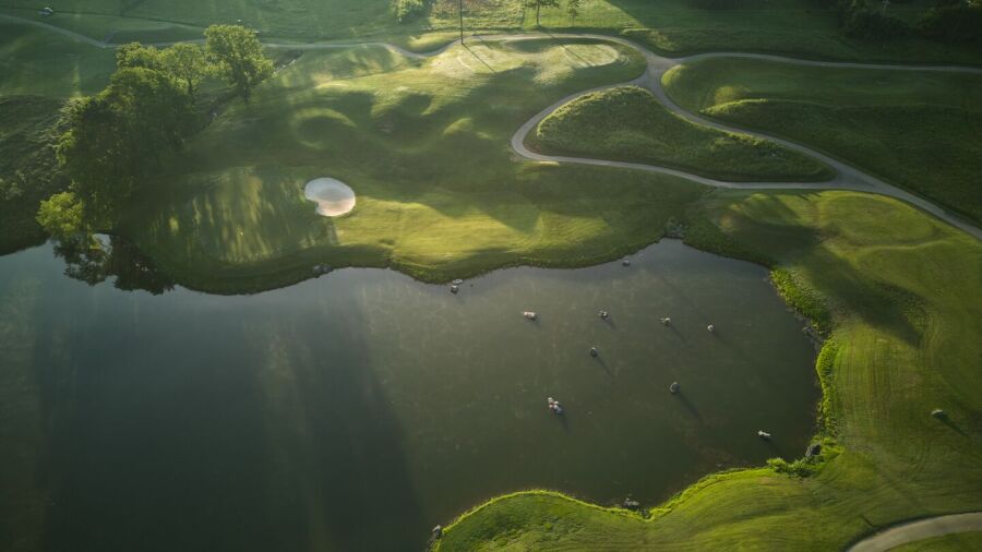 GreyStone GC