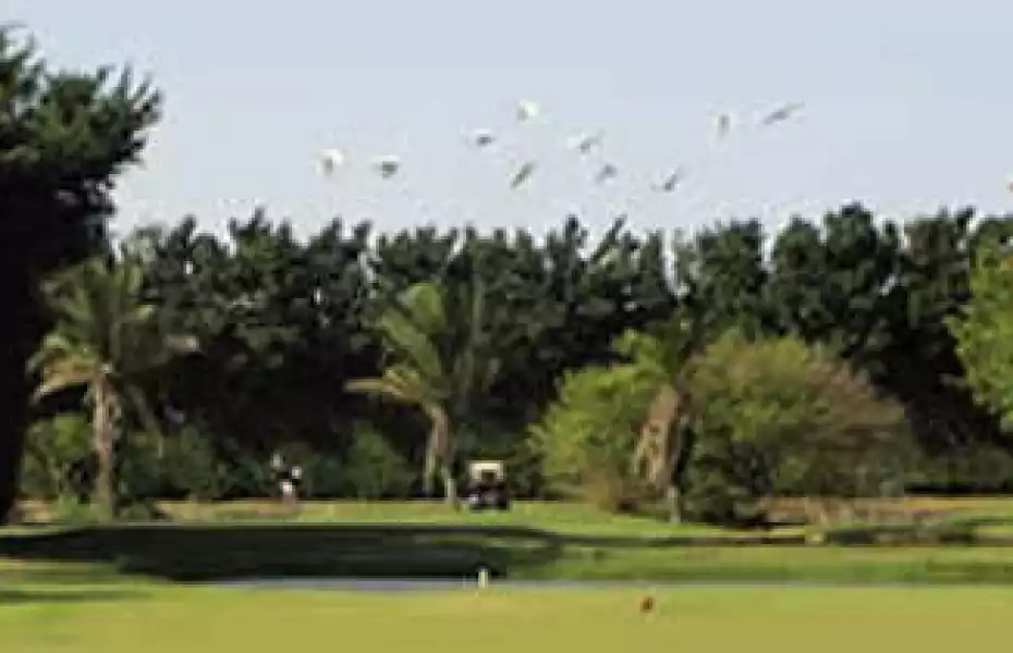 Las Palmas CC