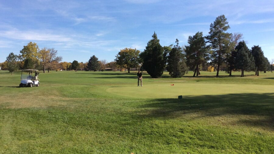 Elmwood GC