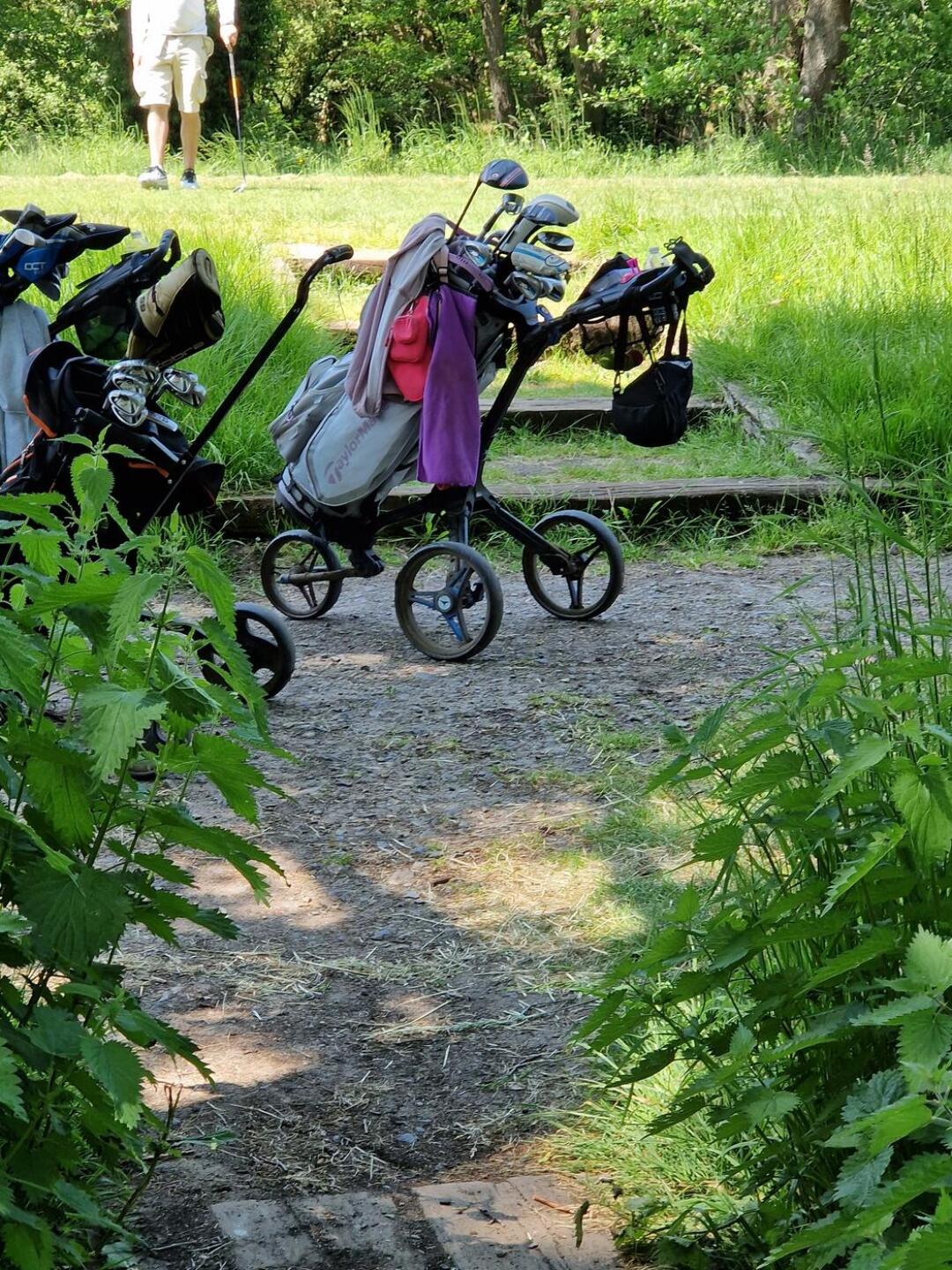 (Photo submitted by u314161985473 on 06/04/2023)