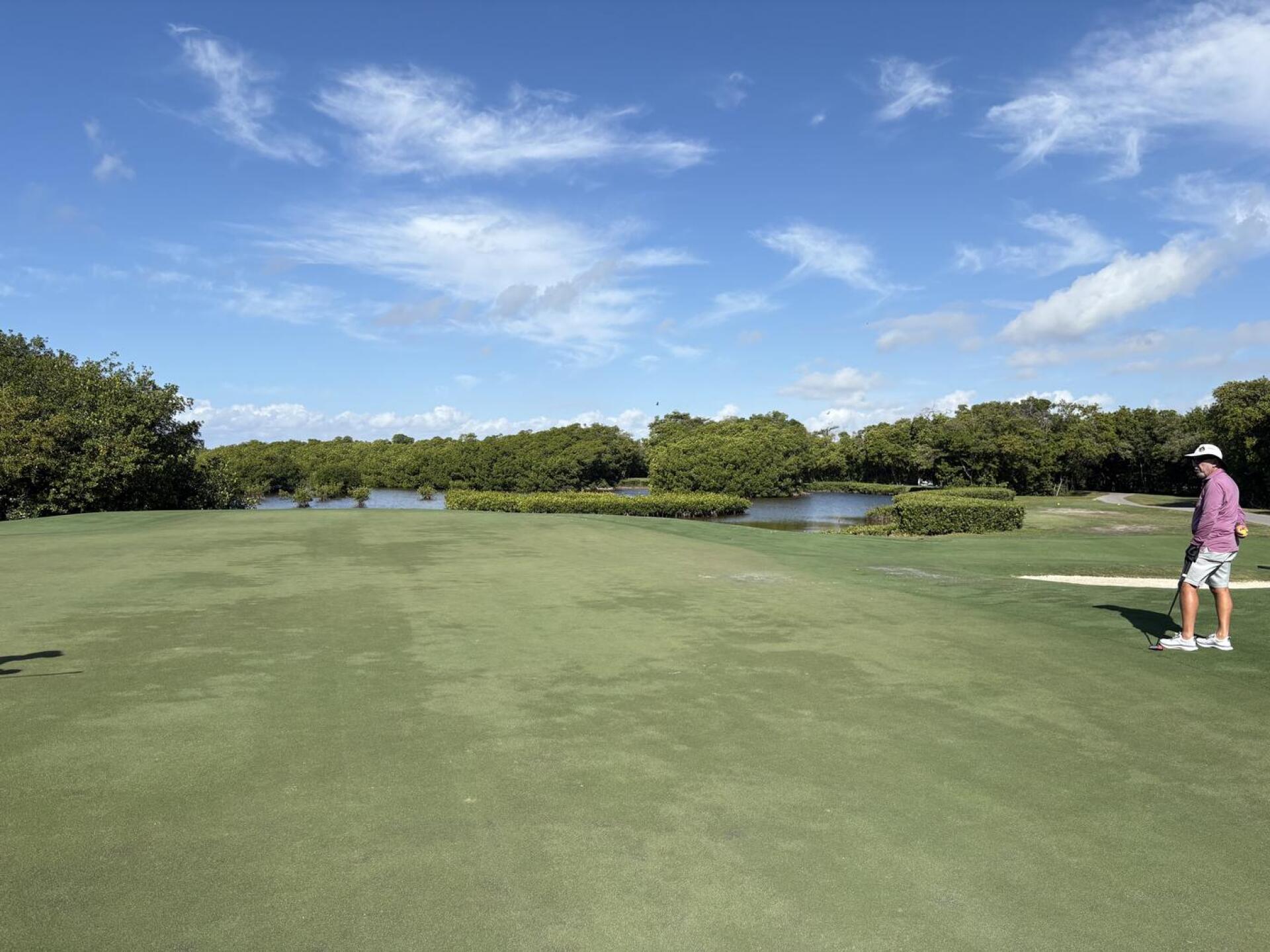 (Photo submitted by jodimgolf on 02/15/2026)