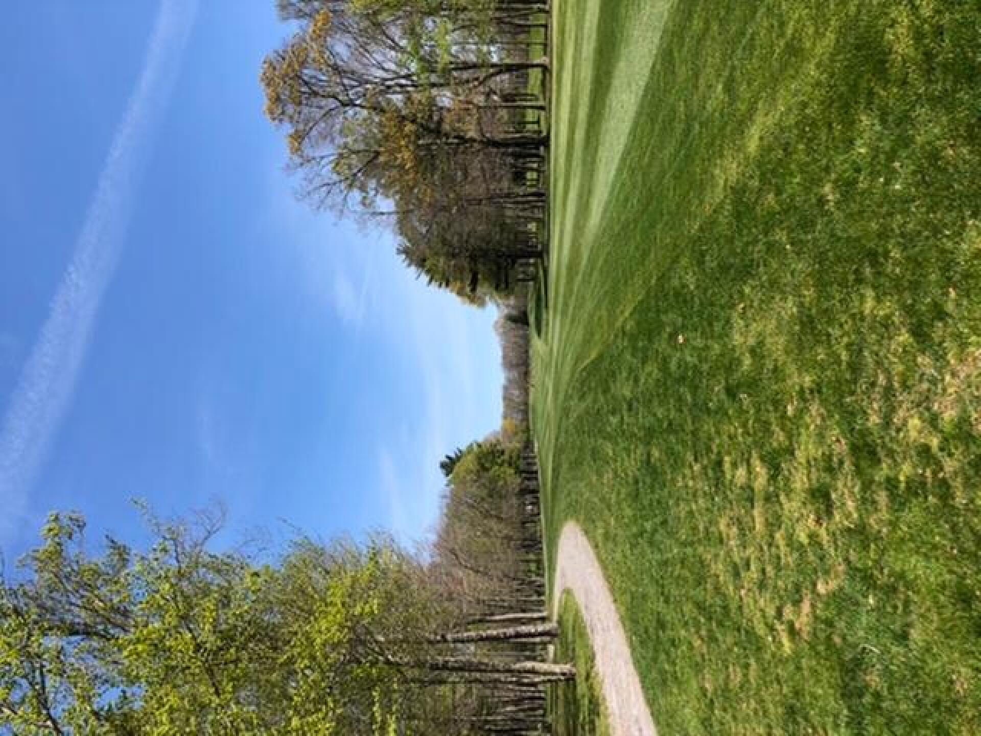 (Photo submitted by null on 05/14/2020)