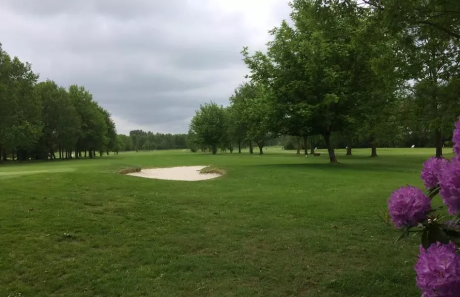 Holthuizen GC