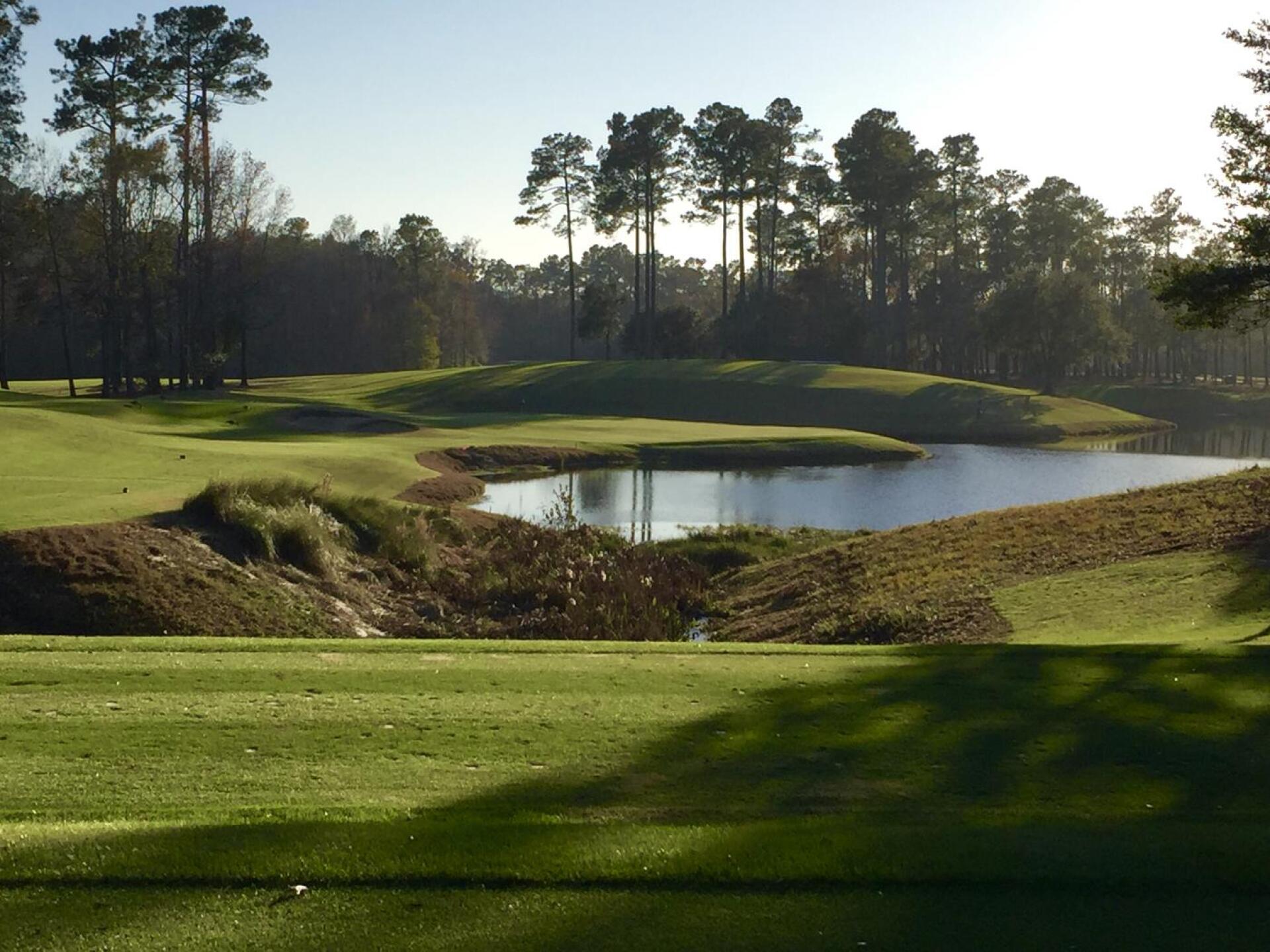 (Photo submitted by DMcK1120 on 10/29/2020)