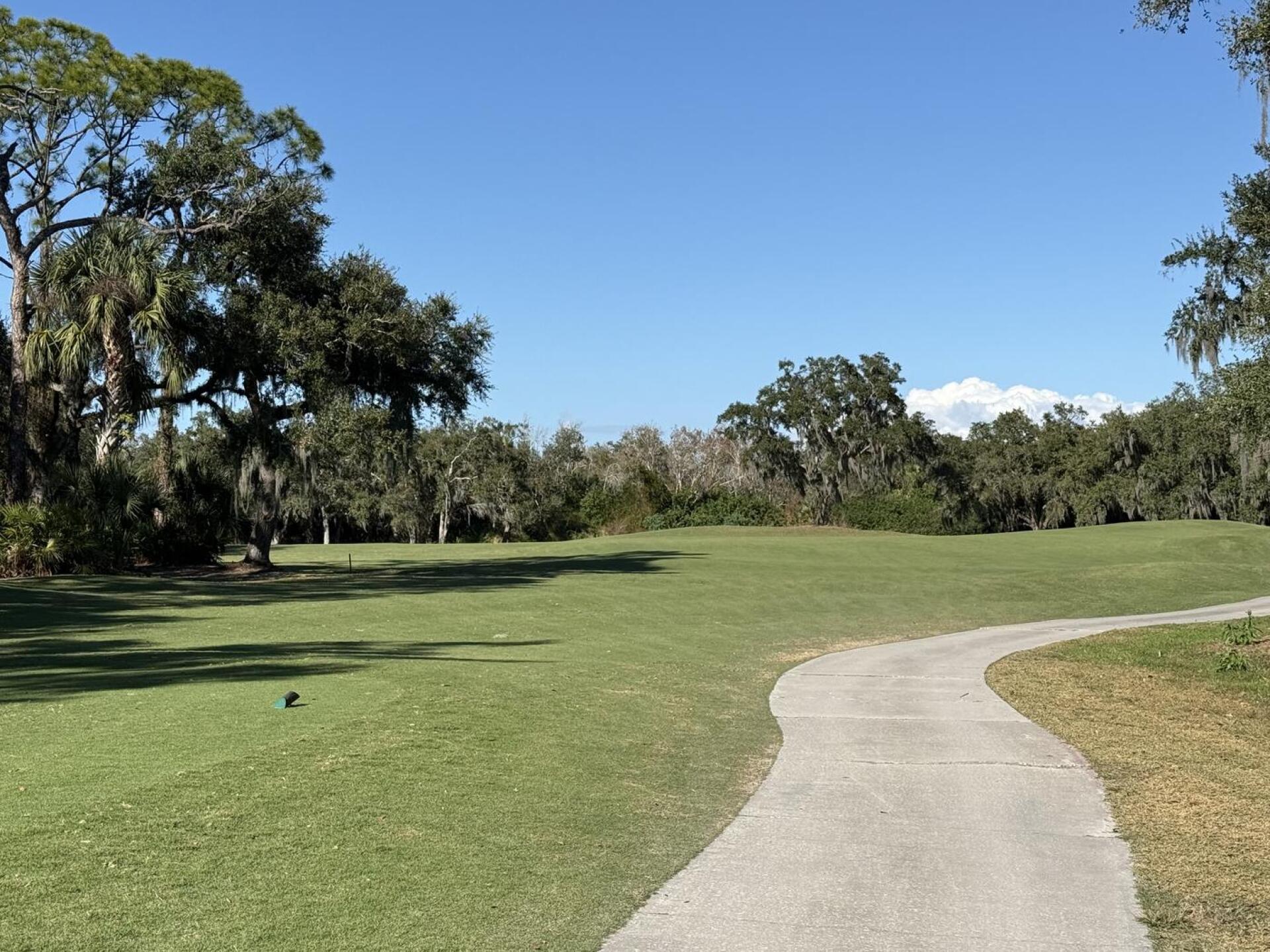 (Photo submitted by Paul3262014 on 01/08/2026)