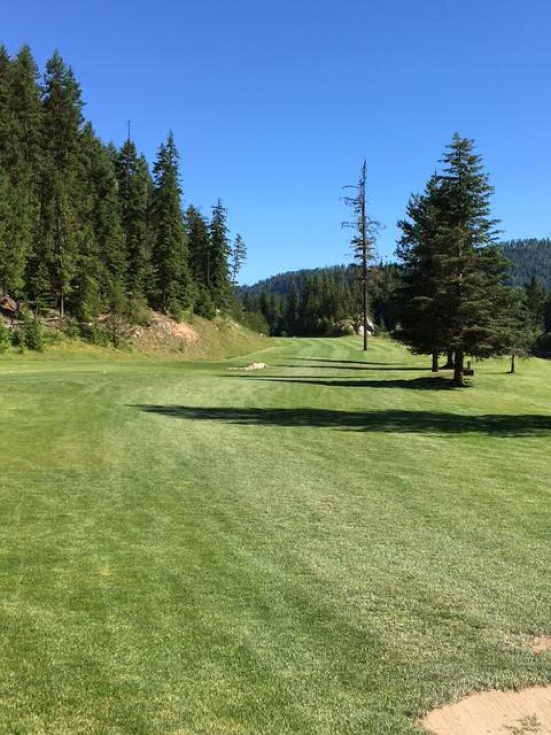 #14 Dogleg left Par 5 (Photo submitted by gsbarry on 06/30/2017)
