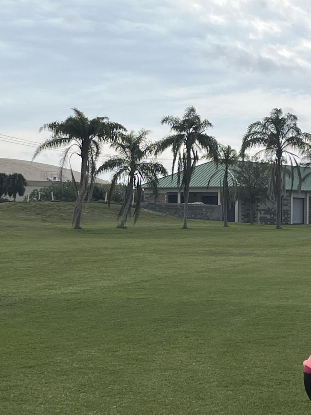 (Photo submitted by mslaughter1201 on 12/27/2022)