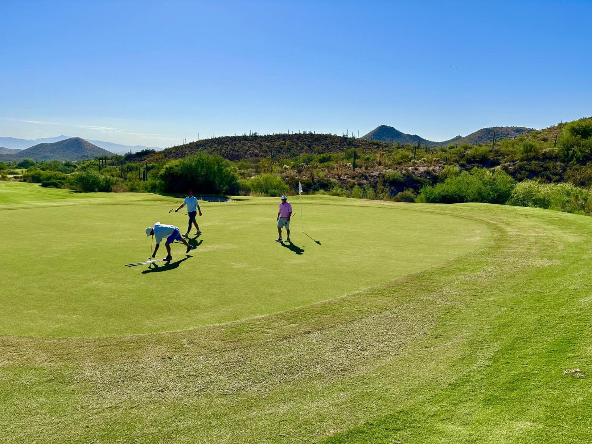 (Photo submitted by Richard4861262 on 09/30/2024)