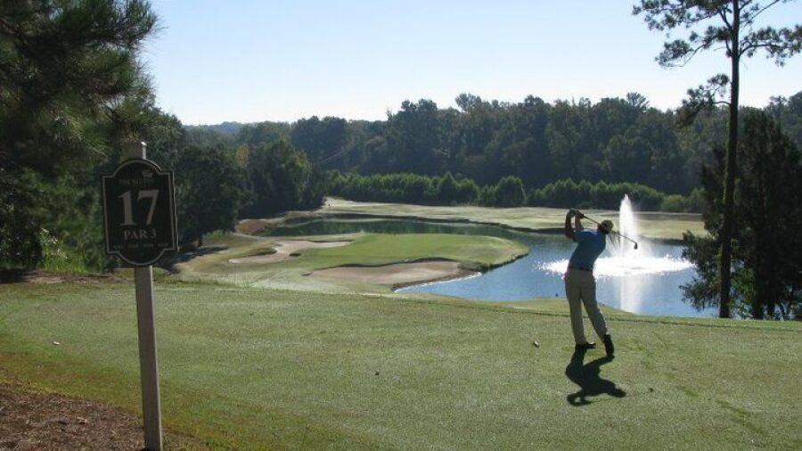 The Bluffs on Thompson Creek: #17