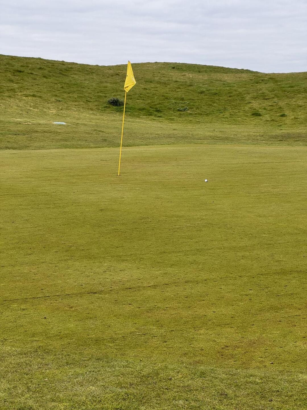 (Photo submitted by 6GE4lyW9eS92fcVamWdx on 04/04/2026)