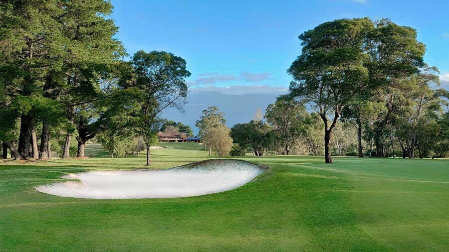 Blackwood GC