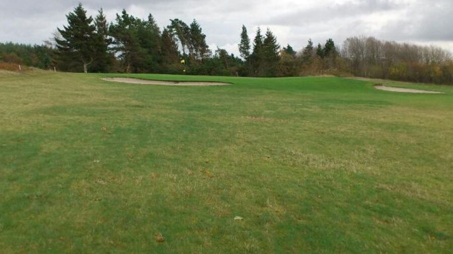 Ribe GC