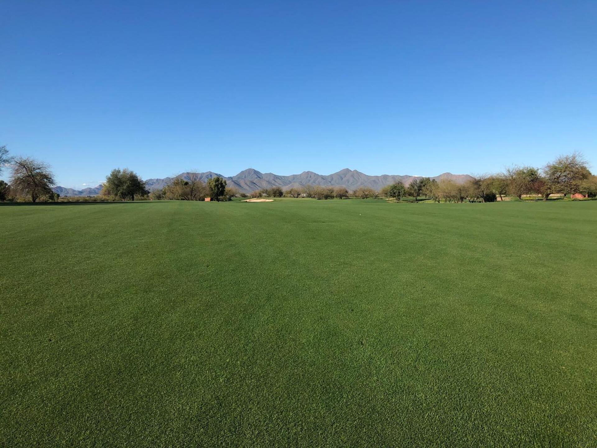 (Photo submitted by LeeHandel on 03/16/2020)