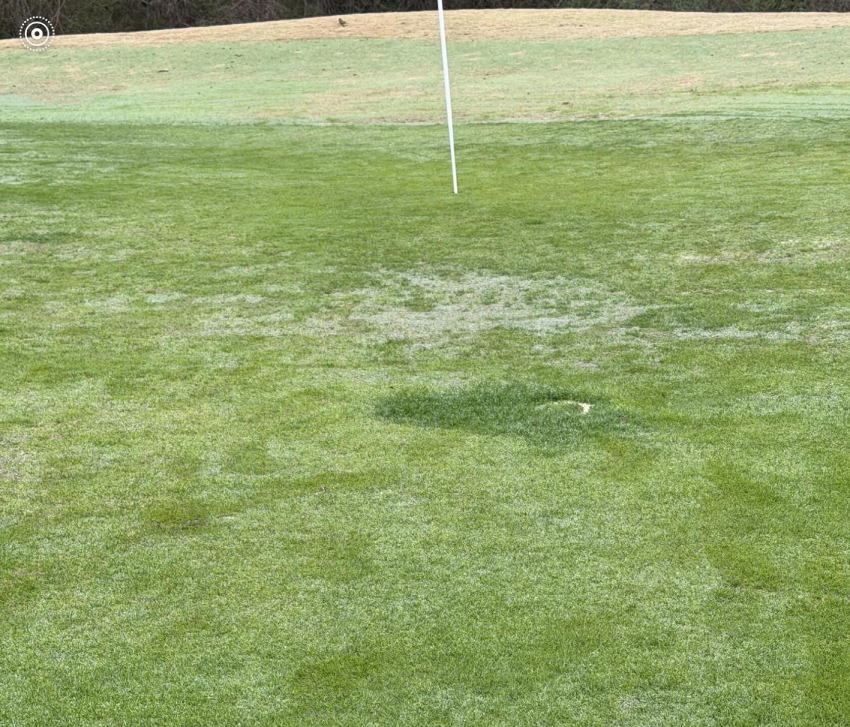 (Photo submitted by gonegolfing615 on 04/03/2026)