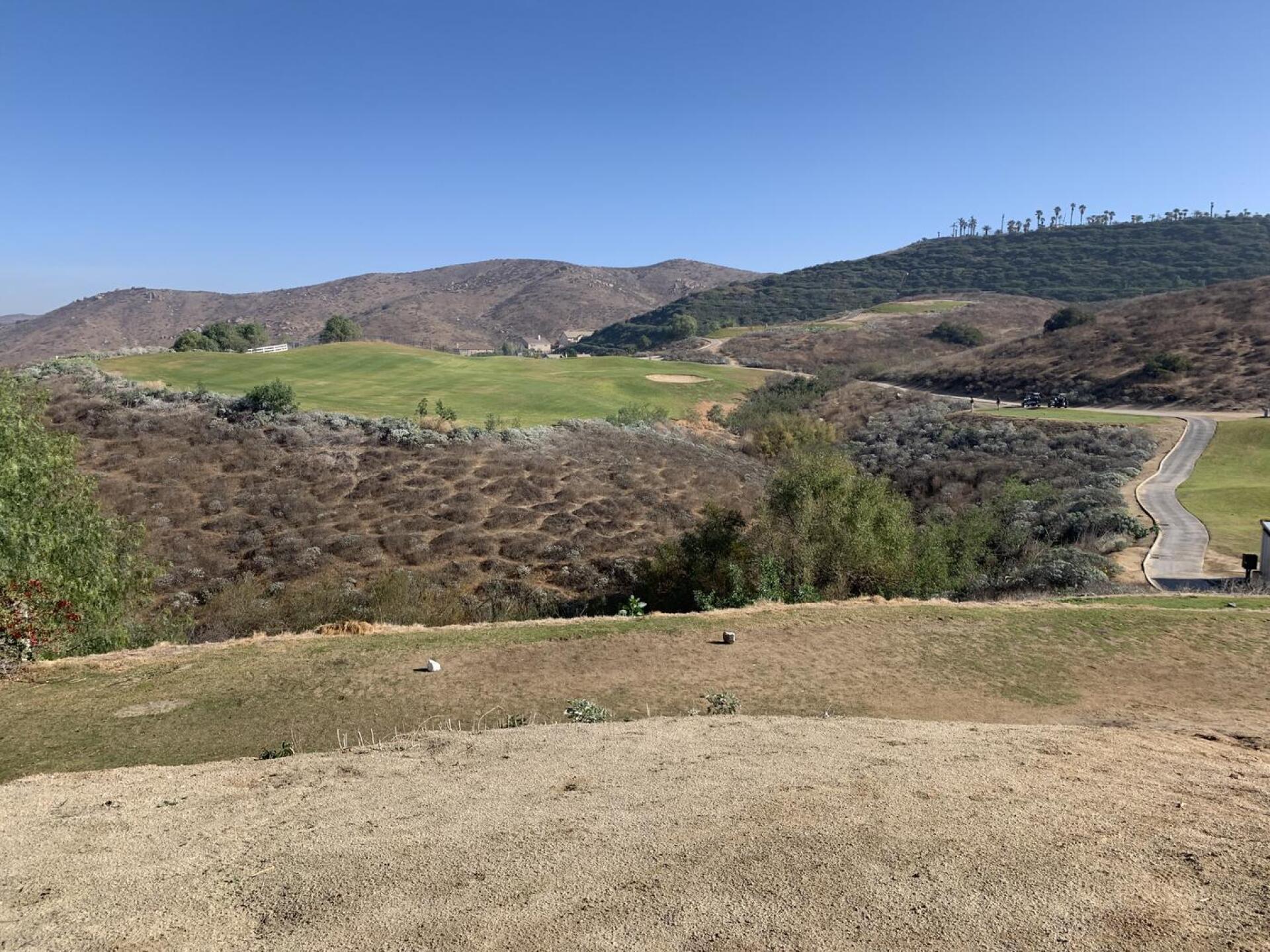 (Photo submitted by u000001876612 on 01/05/2021)