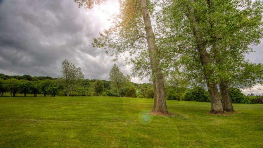 Holywood GC