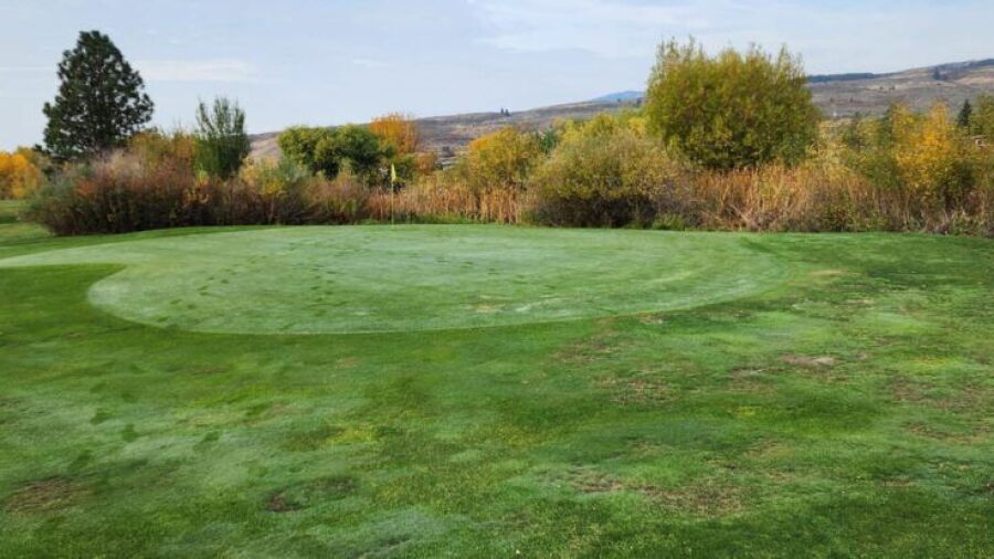 Council Greens GC
