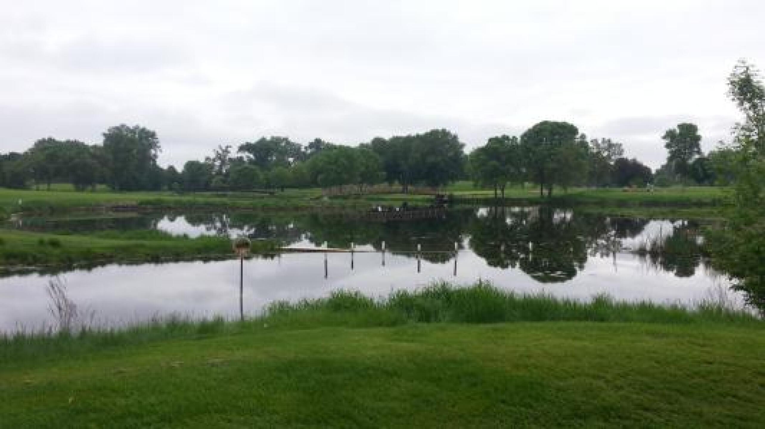 (Photo submitted by mydlam on 06/08/2013)