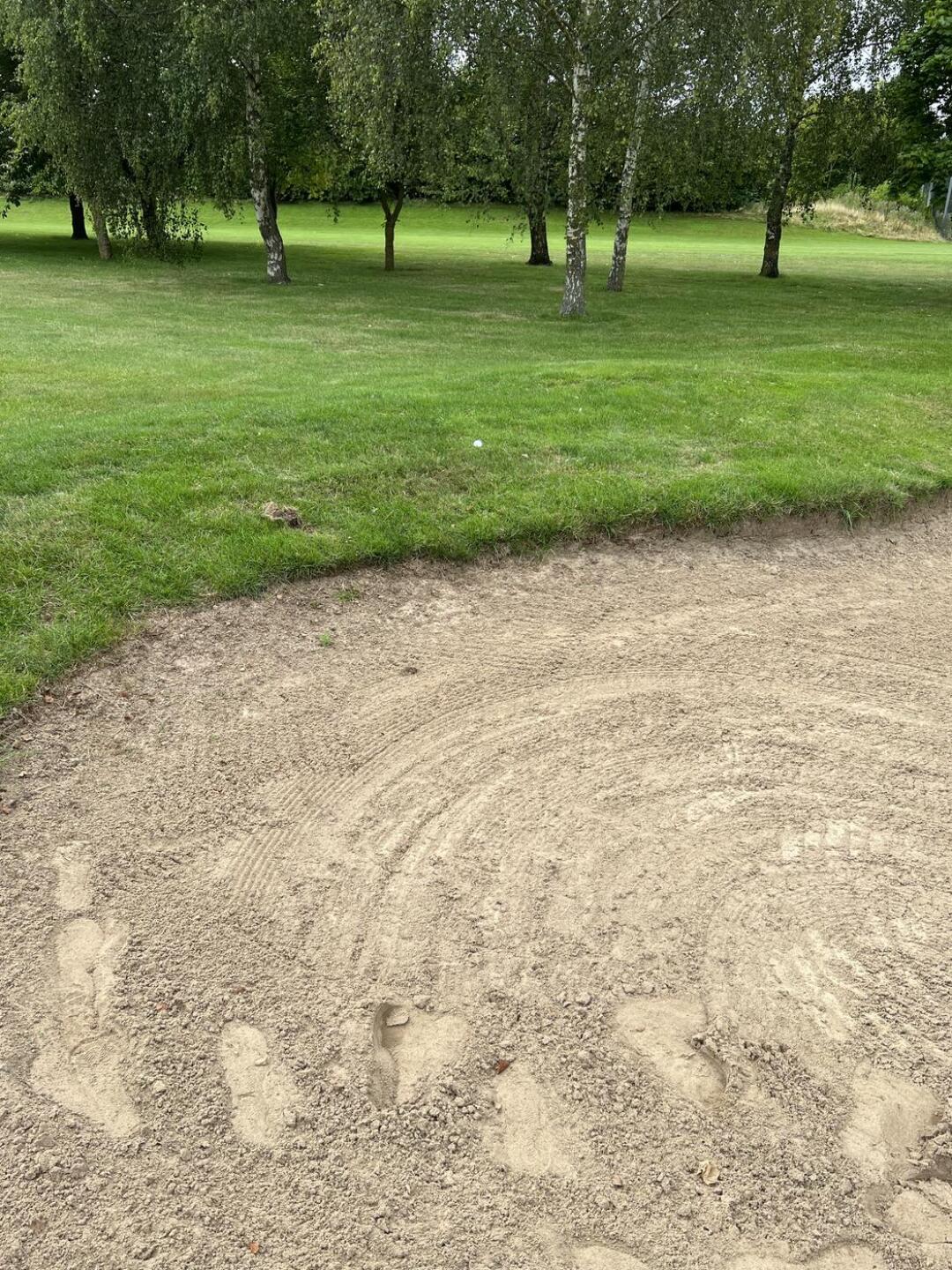 (Photo submitted by Shenaf26 on 08/31/2022)