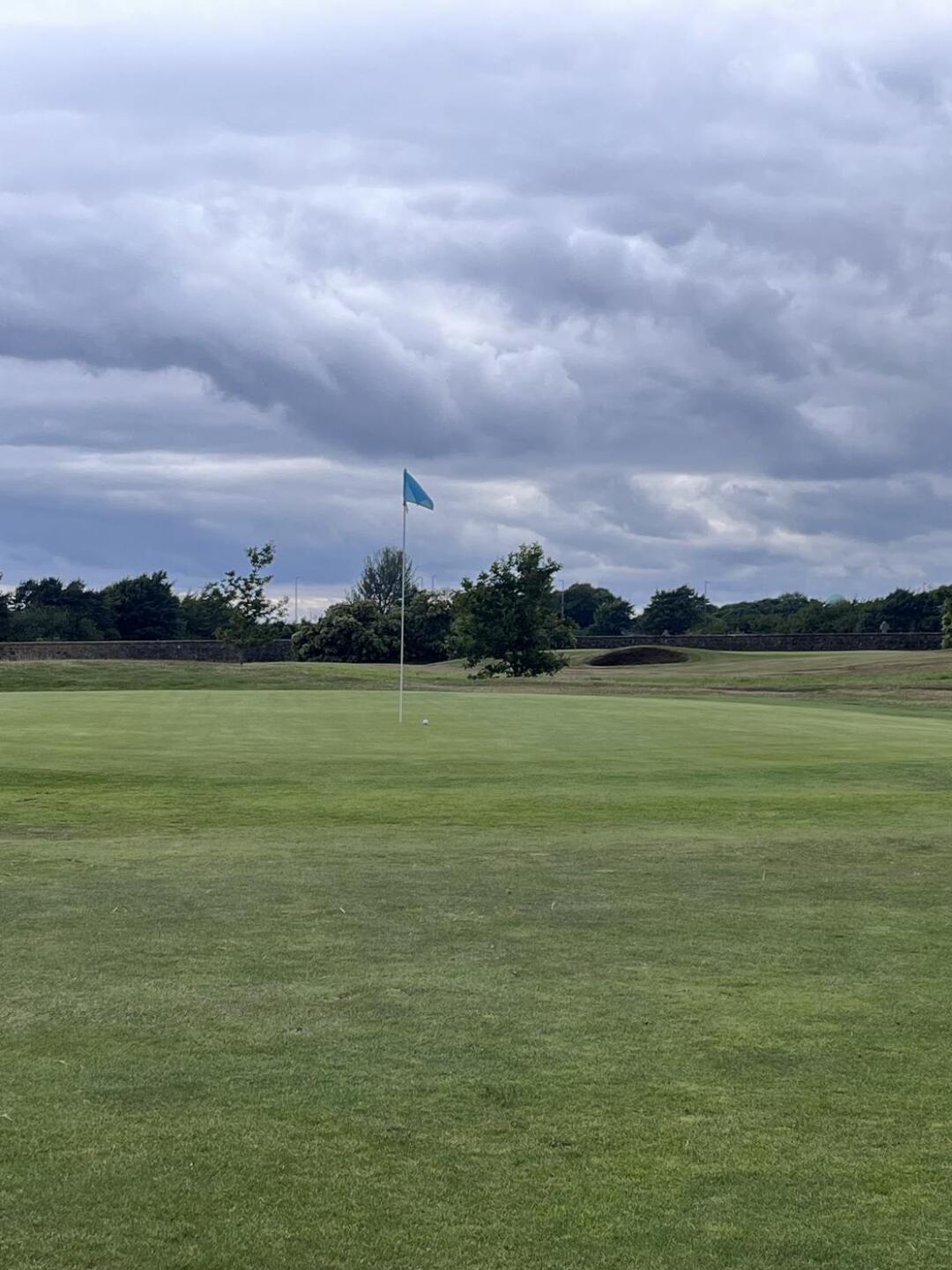 (Photo submitted by u314164456510 on 07/14/2024)