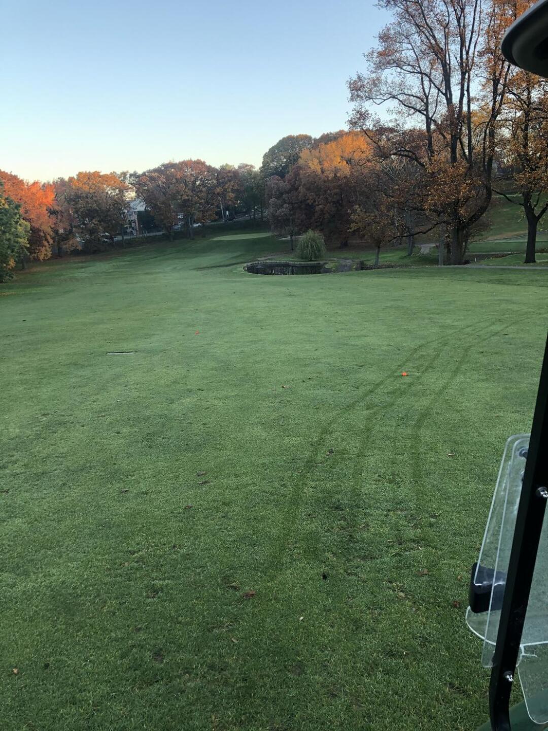 Sweeeeeeet (Photo submitted by stevieups on 11/09/2020)