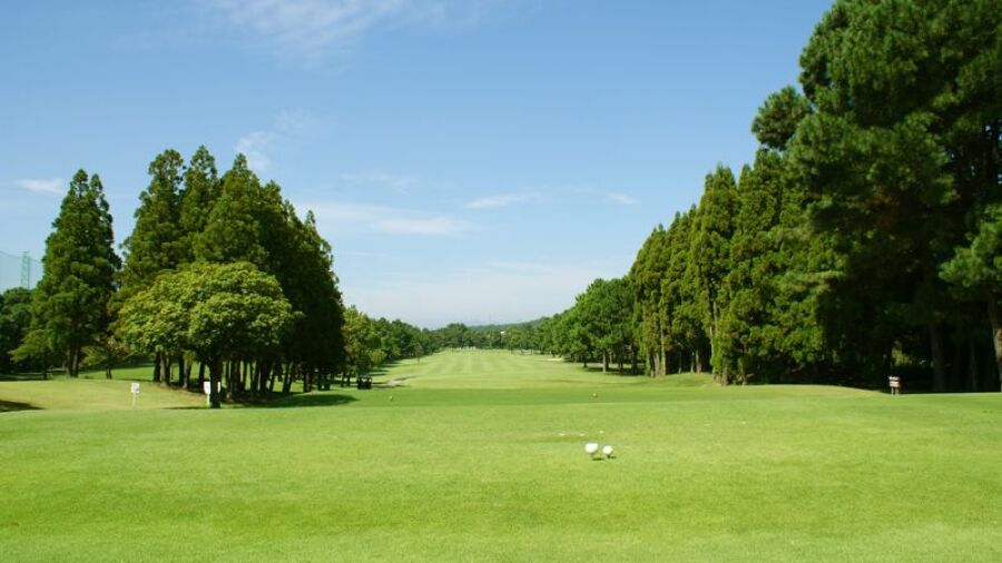 Greenland Resort GC - White: #2