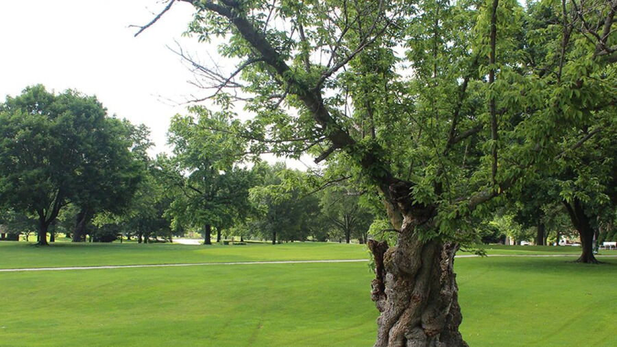 Unity Village GC