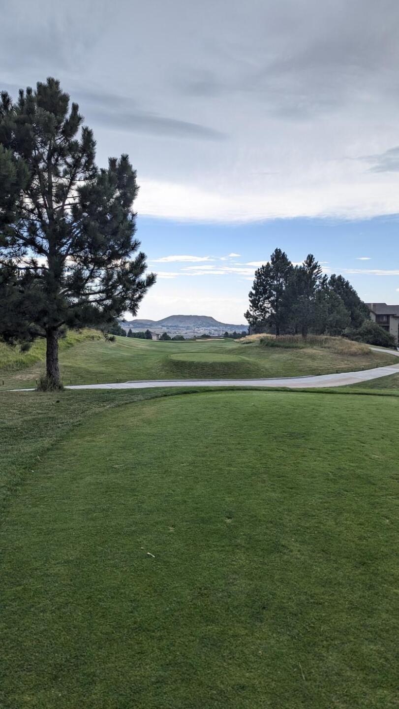 (Photo submitted by tiburonazo on 09/04/2024)