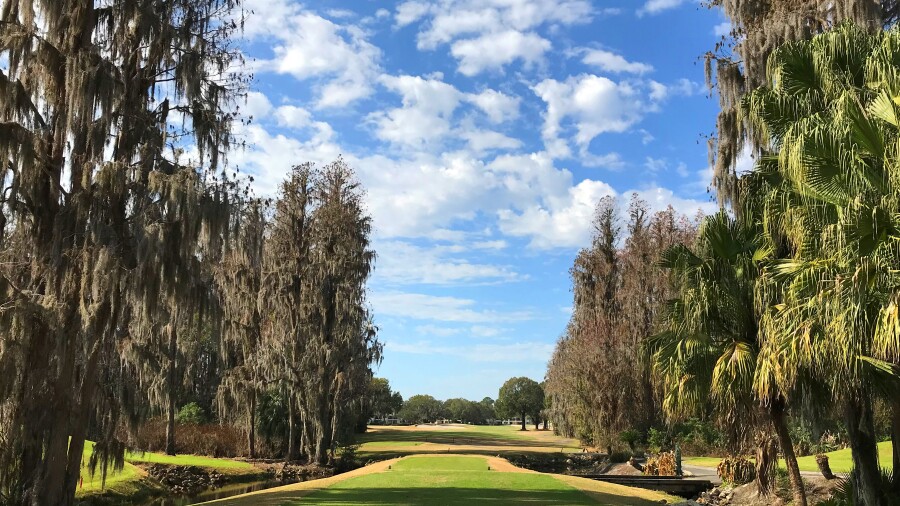 Saddlebrook Course at Saddlebrook Resort - no. 14