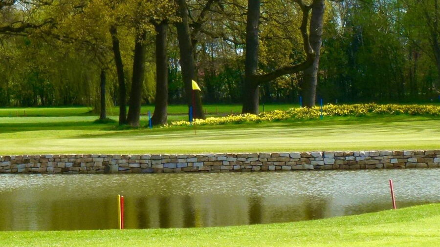 Marienfeld GC: #15