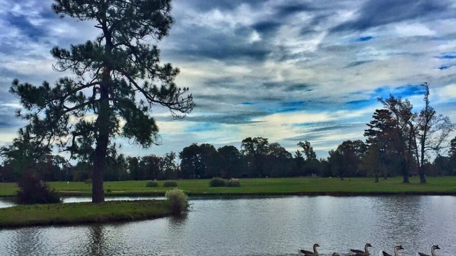 Longview CC