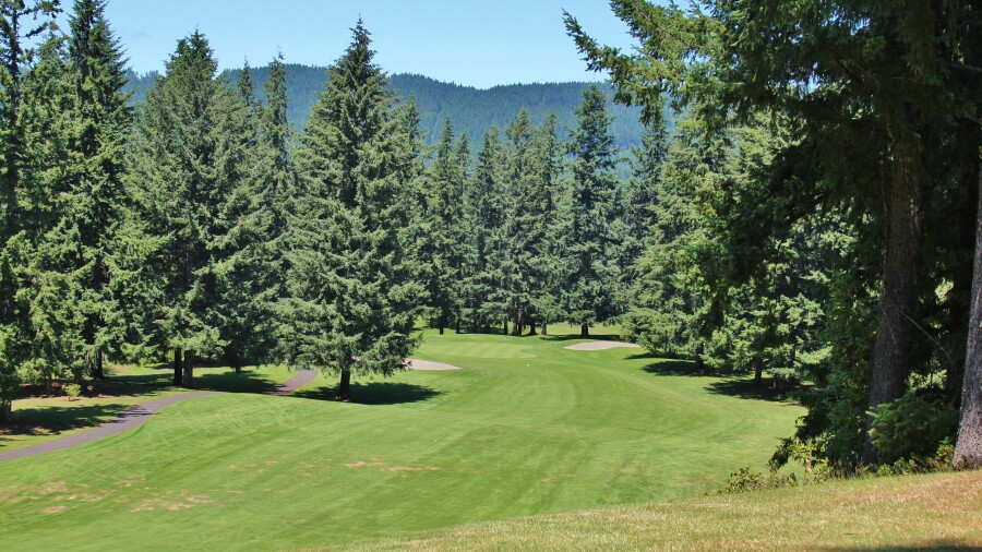 Gold Mountain Golf Club - Cascade Course - hole 15