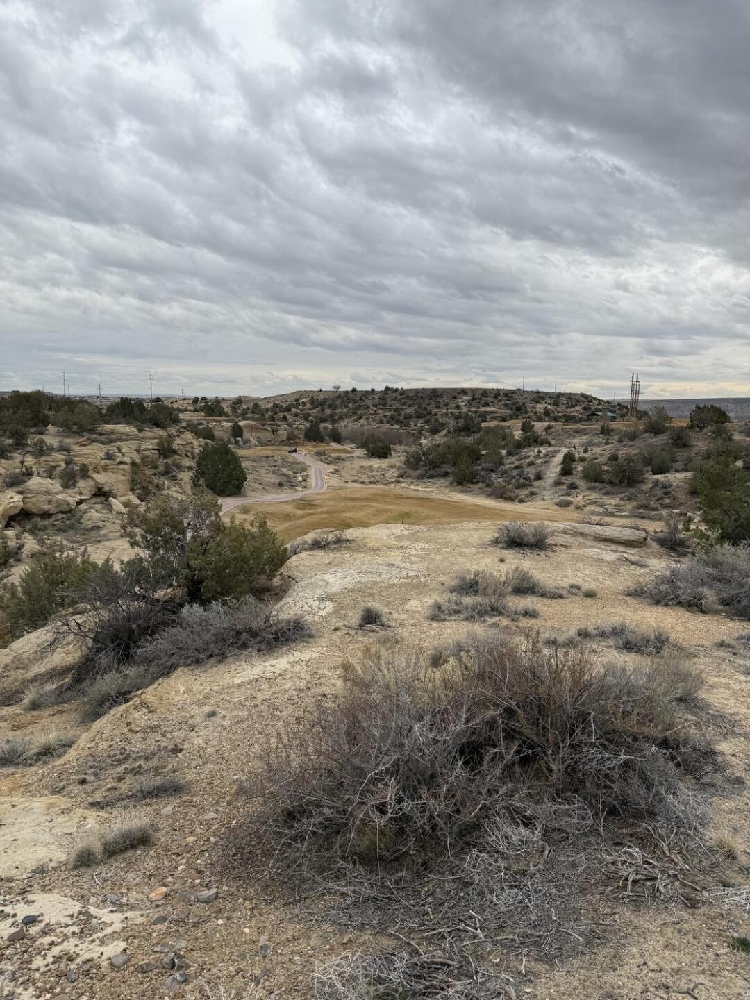 (Photo submitted by u000004684578 on 02/11/2026)