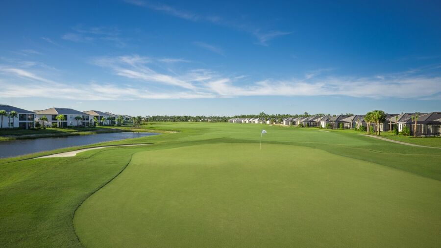 Babcock National: #5