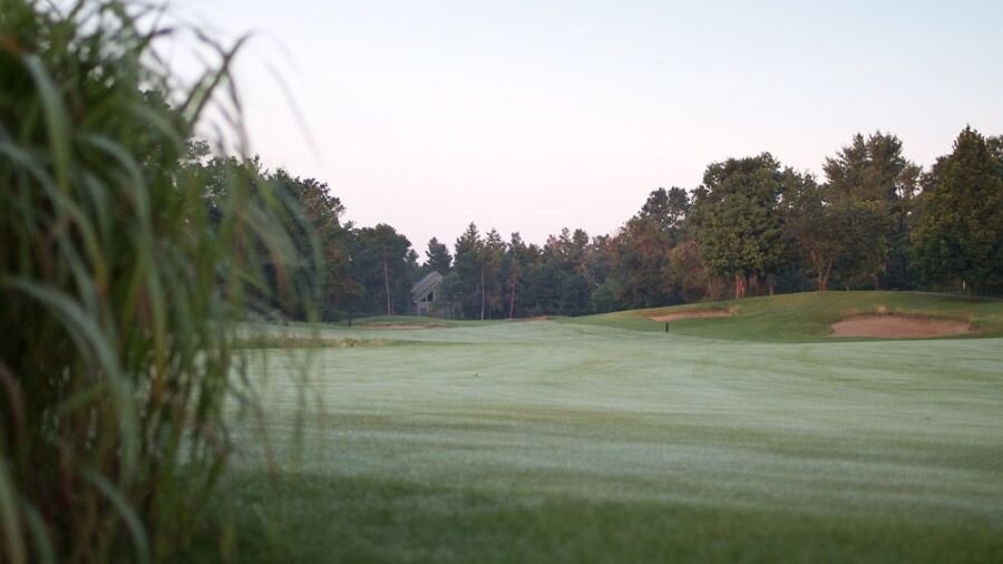 The Pines at Lake Arrowhead GC: #10
