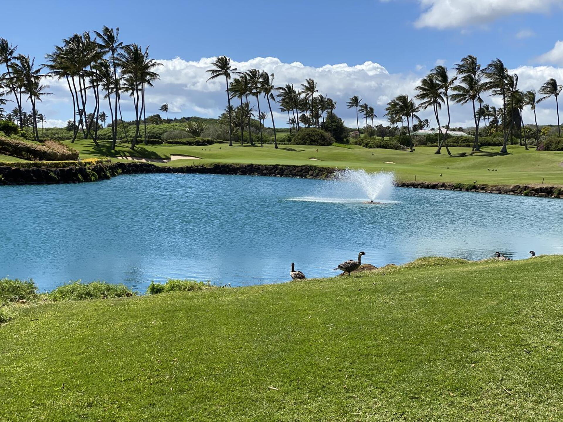 Closing hole (Photo submitted by kacerrob on 04/16/2021)