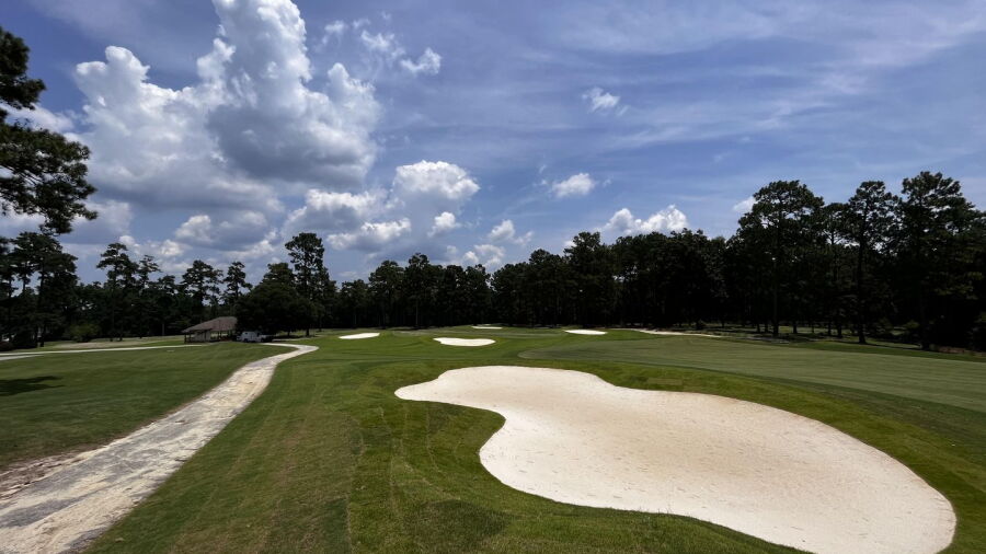 Bayonet at Puppy Creek: #18