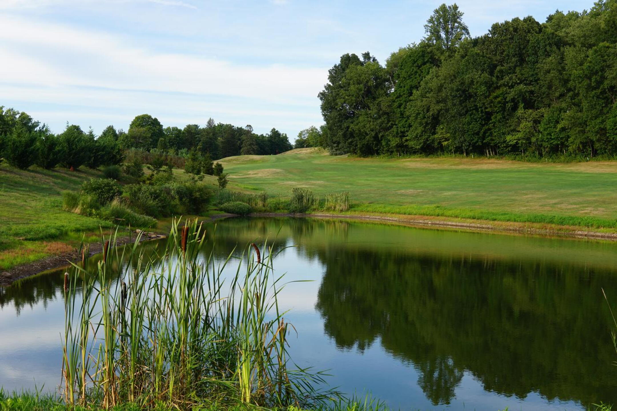 Finding the fairway is no easy task at eight, and the rest of the hole makes this a demanding par four. (Photo submitted by AptlyLinked on 08/24/2022)