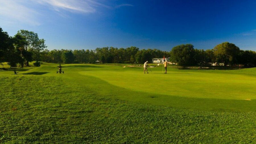 Darwin GC: #8