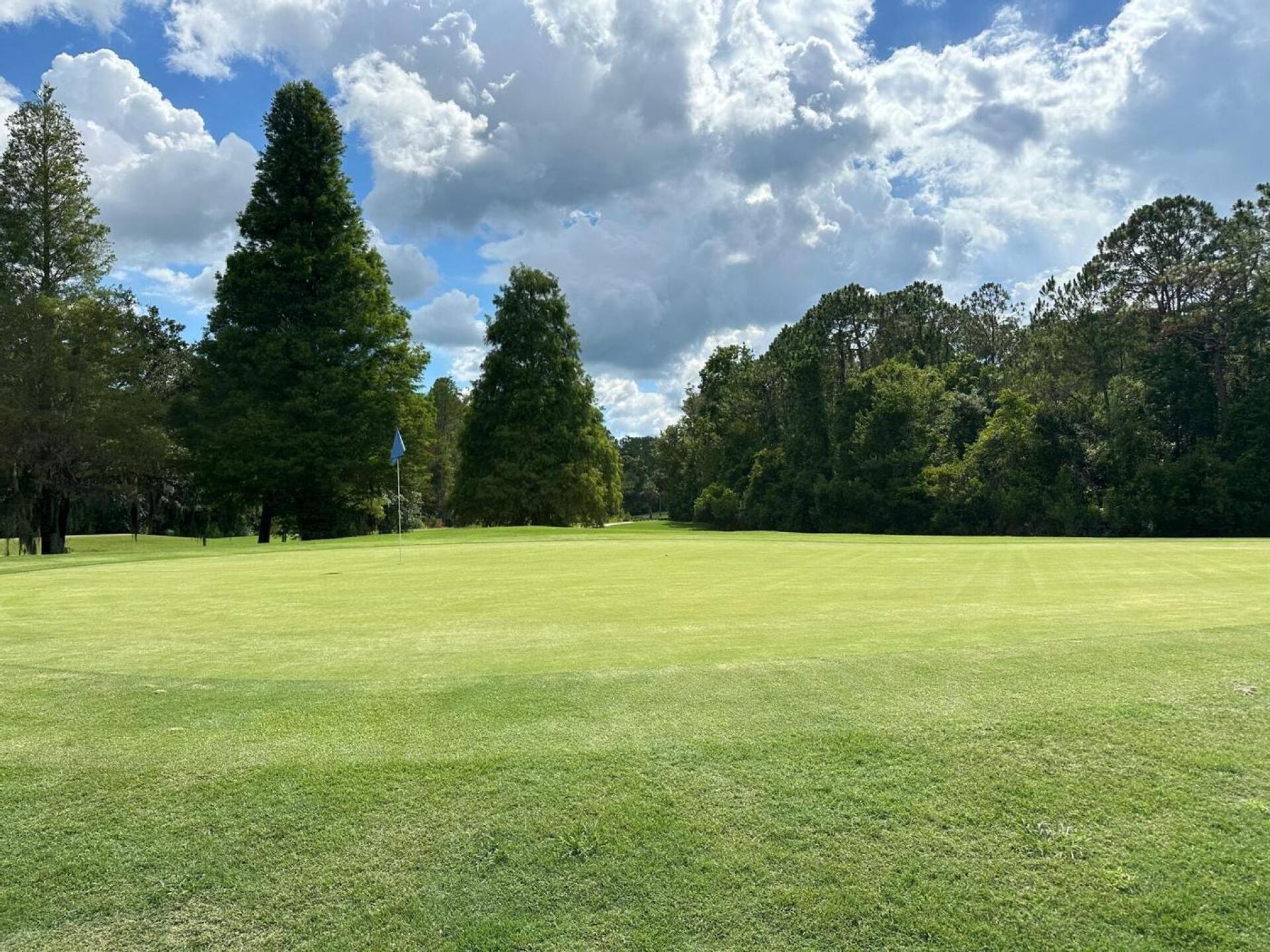 (Photo submitted by Q8jeefVLeNZi0Qb0I2LN on 06/27/2024)