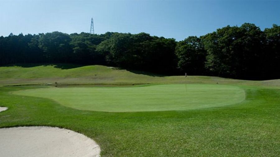 Grace Ridge CC: #4