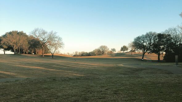 Tenison Park GC