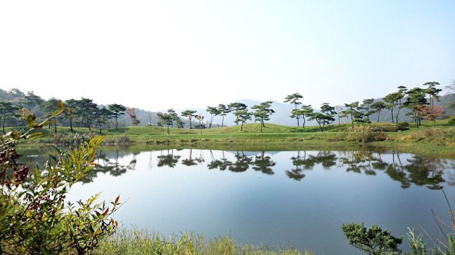 Hampyeong Elite CC - Majesty: #8