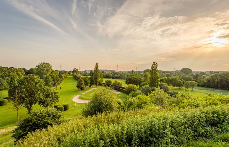 Royal Amicale Anderlecht GC