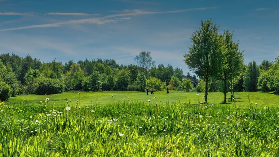 Habichtswald GC