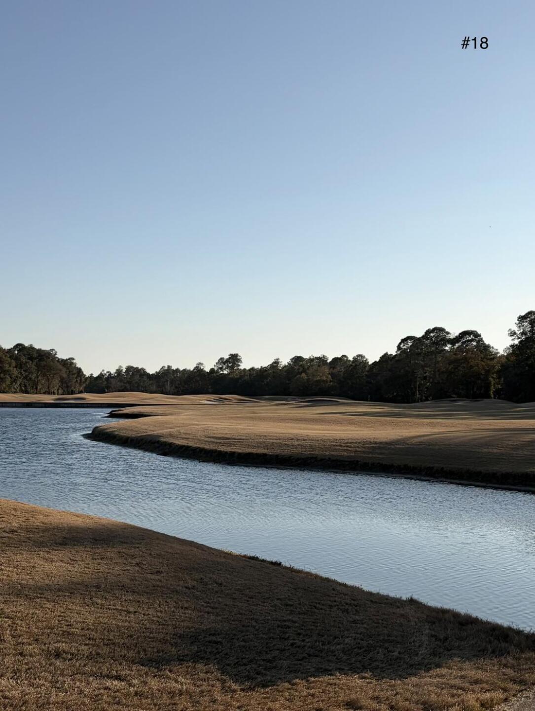 (Photo submitted by u314159582643 on 02/13/2026)