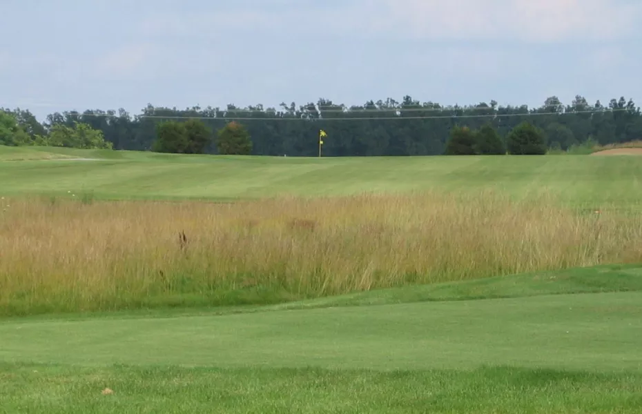 Silo Ridge GCC: #5