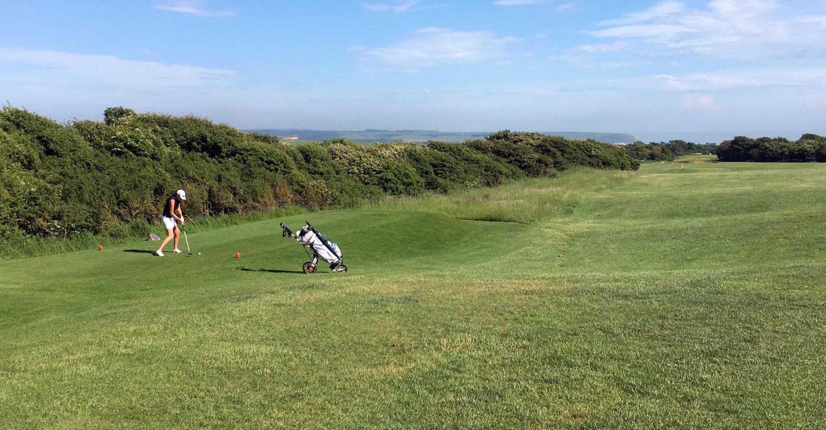 (Photo submitted by RayMatsell on 05/29/2018)