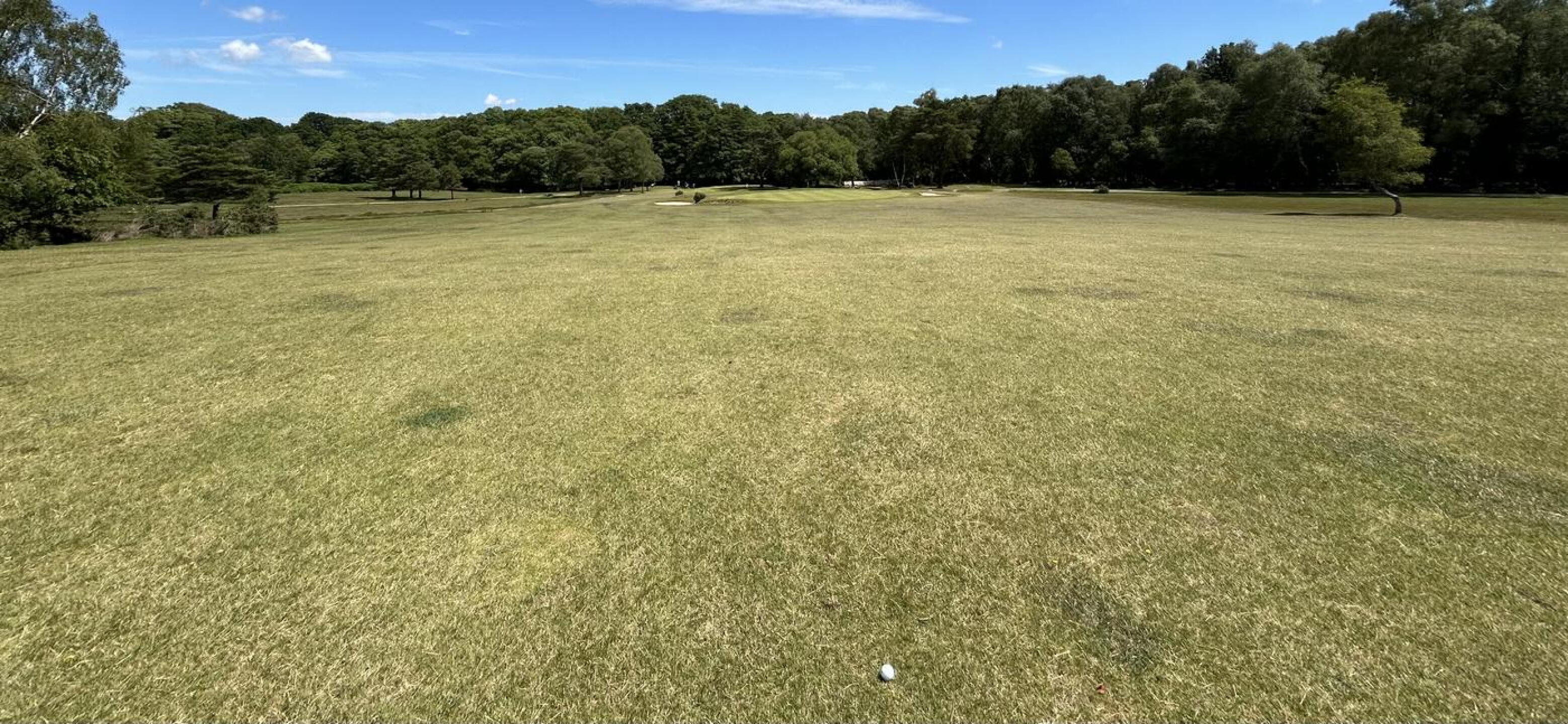 Plopped this fella right on the front of the green to roll on to with in 2 feet of the pin and managed to hole out for Par on the par 5 17th. Best shot of the day. (Photo submitted by u236947870 on 06/23/2024)
