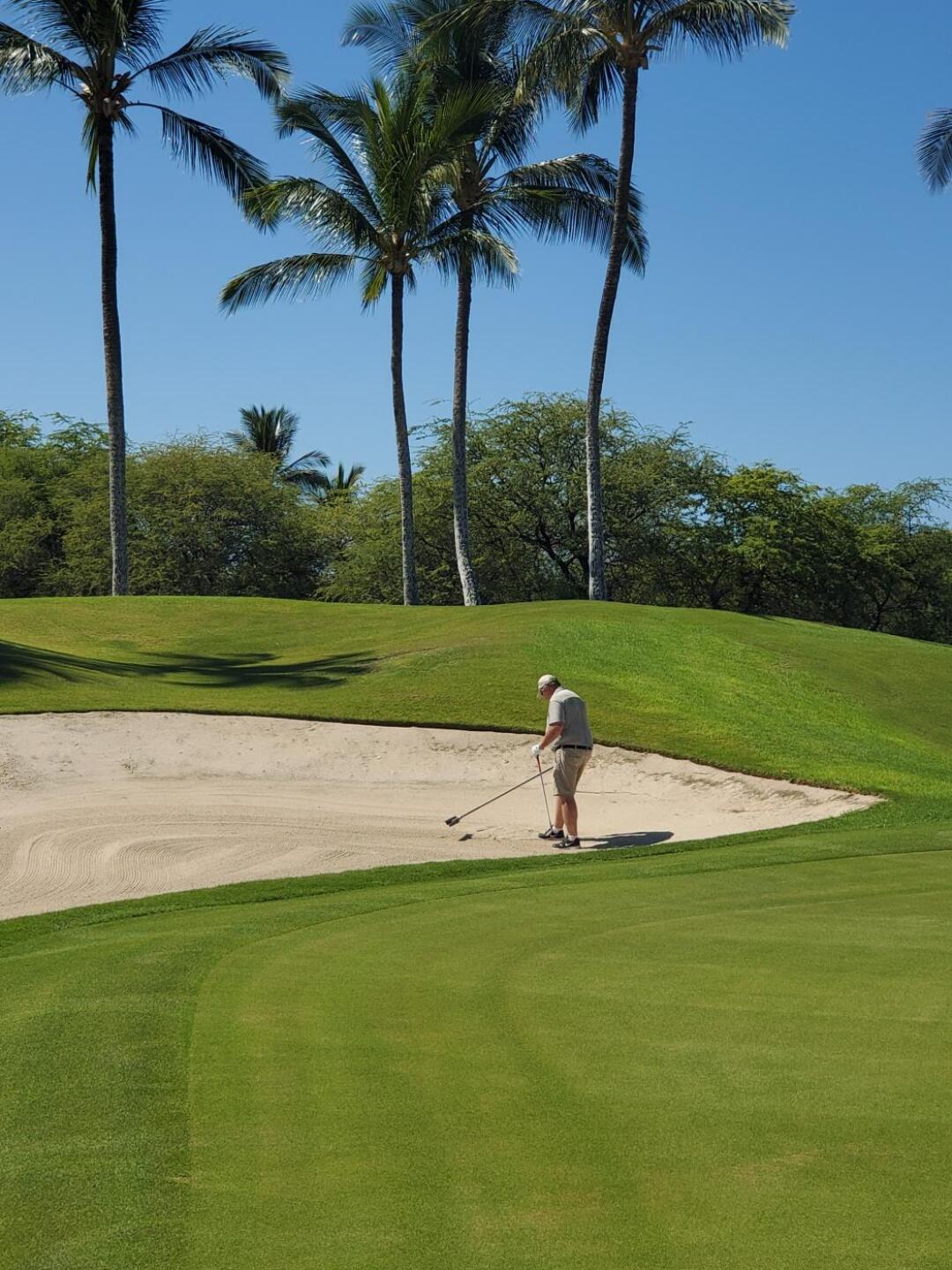 (Photo submitted by u980704217 on 12/07/2019)